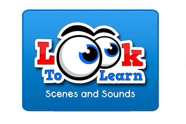 Look To Learn Scenes Sounds